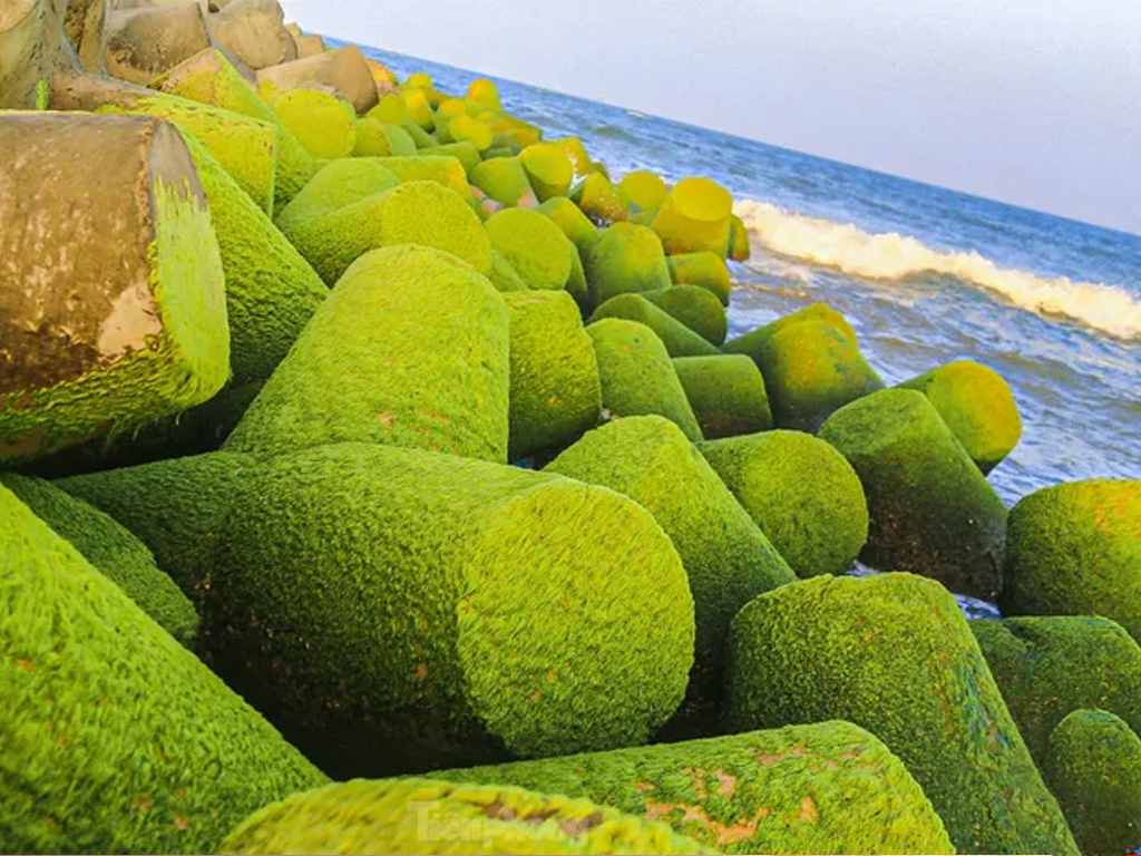 Stone wave-break section of the Bo Ke seawall in Mui Ne