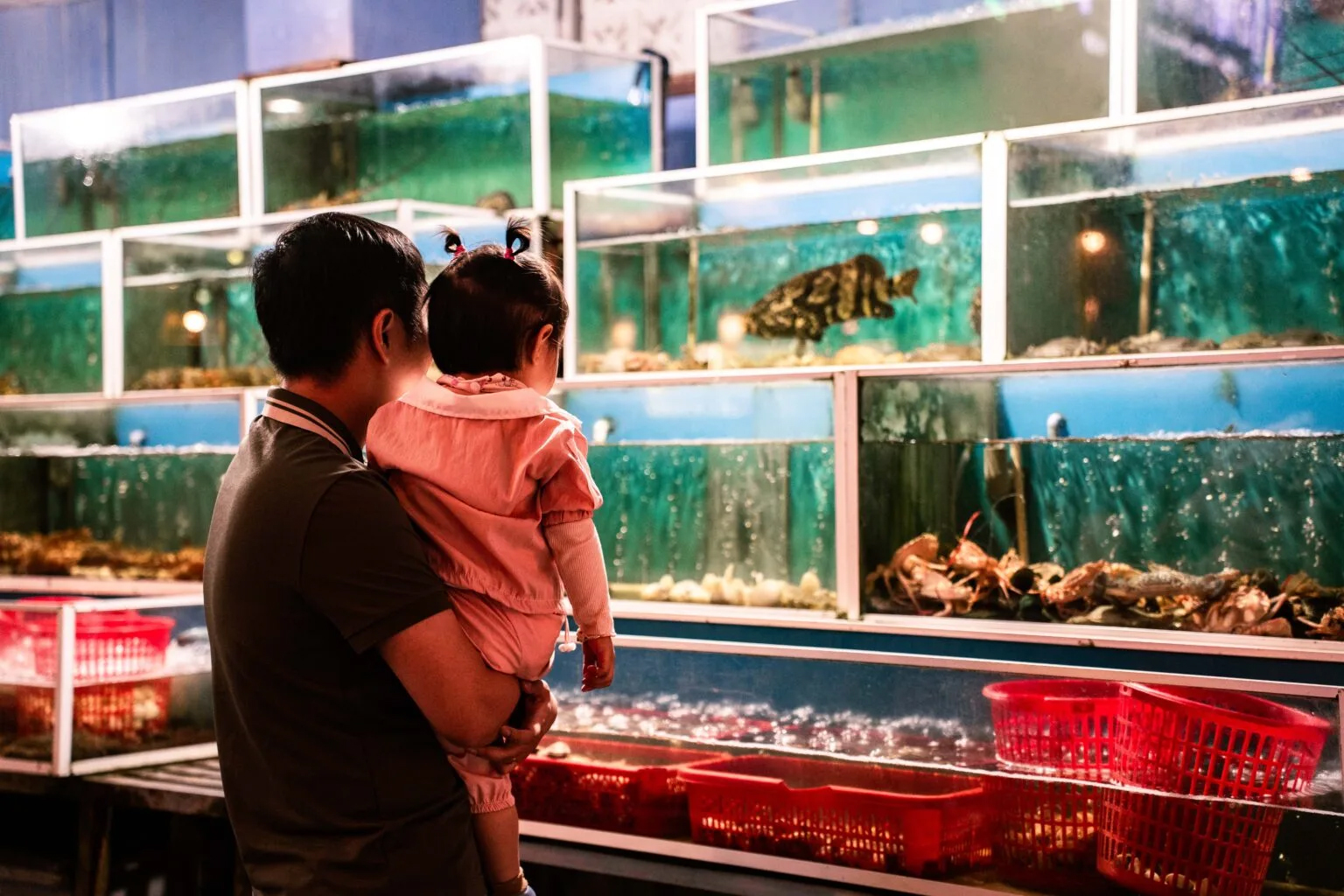 Live seafood in display tanks at a Bo Ke seafood restaurant, Mui Ne